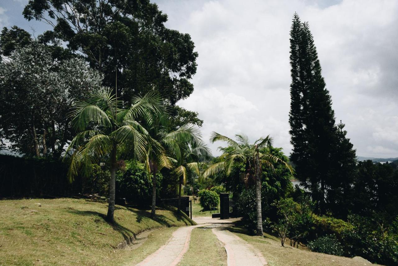 Happy Buddha Hostel & Lodge Guatape Exterior photo